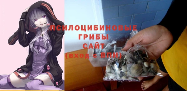 спиды Нея