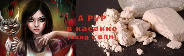 спиды Нея