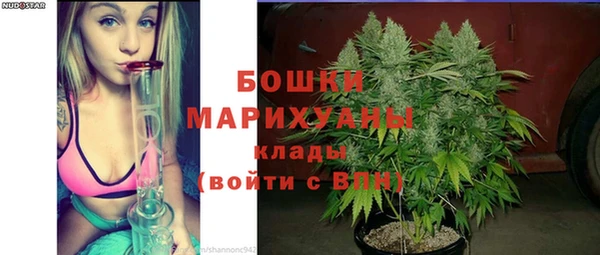 ALPHA PVP Новозыбков