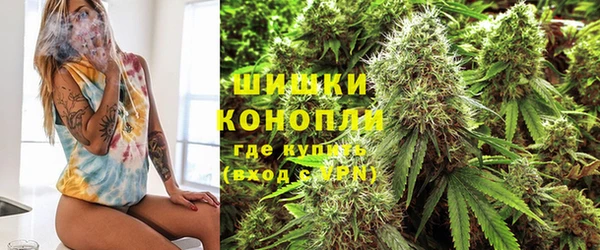ALPHA PVP Новозыбков
