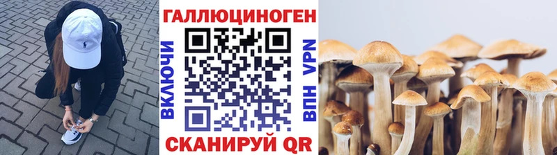 Галлюциногенные грибы Psilocybine cubensis Заводоуковск
