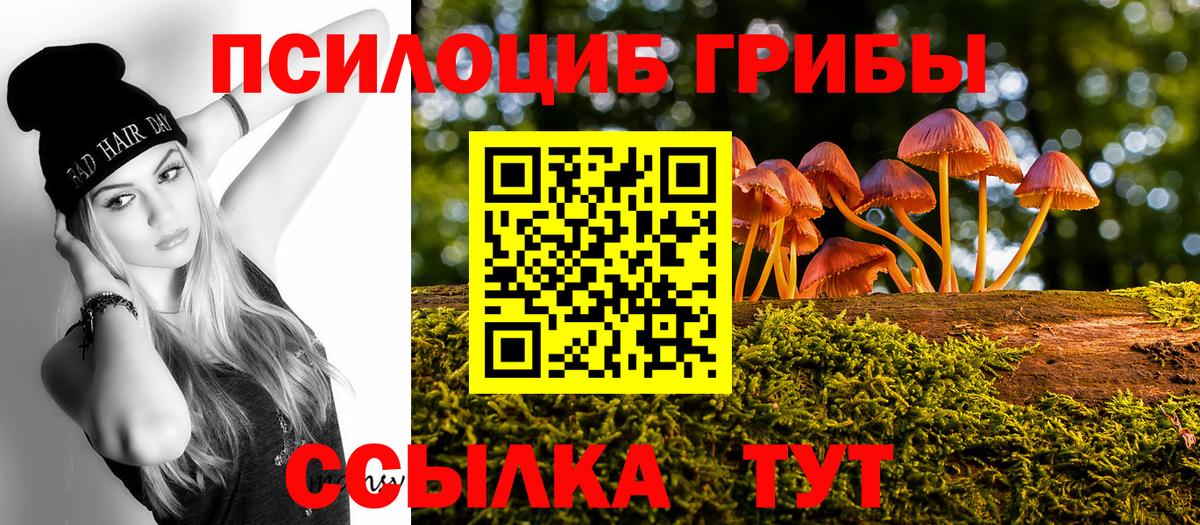 Заводоуковск  Галлюциногенные грибы Magic Shrooms  Вход с VPN  Псилоцибиновые грибы мицелий 